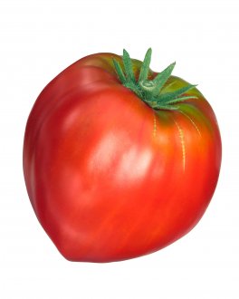 Semi di Pomodoro Cuor di Bue Bio - 1