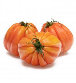 Semi di Pomodoro Cuor di Bue Costoluto Bio - 1