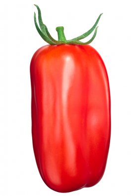 Semi di Pomodoro Scatolone 3 Bio - 1