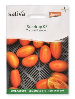 Semi di Pomodoro Sundrop Ks - 10 Semi - 1