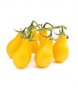 Semi di Pomodoro Yellow Submarine Bio - 1