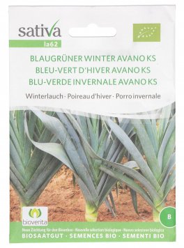 Semi di Porro Invernale "Avano" - 1