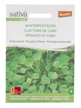 Semi di Portulaca Invernale - Spinacio di Cuba - 1