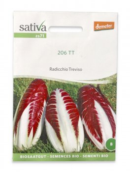 Semi di Radicchio Bio - Treviso 206 TT - 1