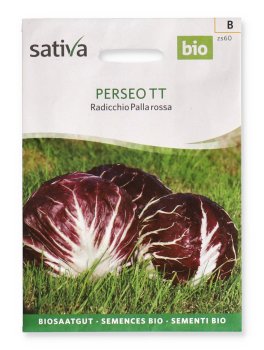 Semi di Radicchio Palla Rossa Perseo TT - 1