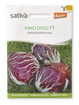Semi di Radicchio Palla Rossa - Vinci TT - 1