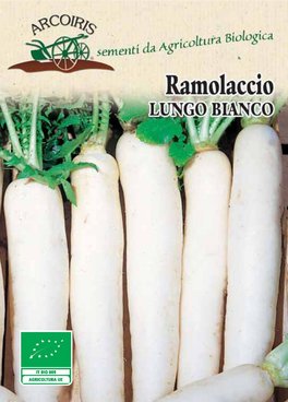 Semi di Ramolaccio Lungo Bianco Bio - 1