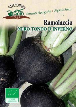 Semi di Ramolaccio Nero Tondo d'Inverno - 4 gr - BU059 - 1