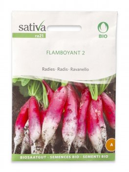 Semi di Ravanello Bio - Flamboyant 2 - 1