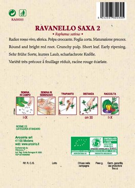 Semi di Ravanello Saxa 2 Bio - 2