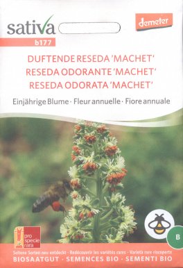 Semi di Reseda Odorata Machet - 1