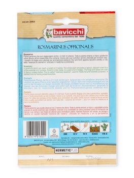Semi di Rosmarino - Rosmarinus Officinalis - 2
