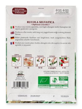 Semi di Rucola Selvatica - 2