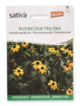 Semi di Rudbeckia Triloba Fiore Biennale - 1
