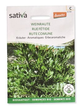 Semi di Rute Comune - Erbe Aromatiche - 1