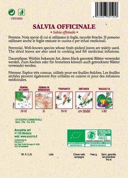Semi di Salvia Officinale - 3 Gr - BU042 - 2