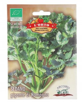 Semi di Sedano Gigante di Romagna - Sap216 - 1