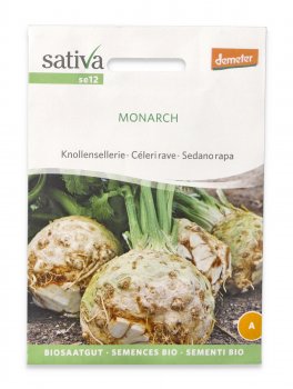 Semi di Sedano Rapa Bio - Monarch - 1