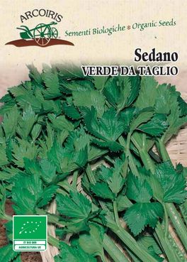 Semi di Sedano Verde da Taglio - 4 gr - BU056