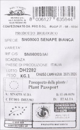 Semi di Senape Bianca Bio - 4
