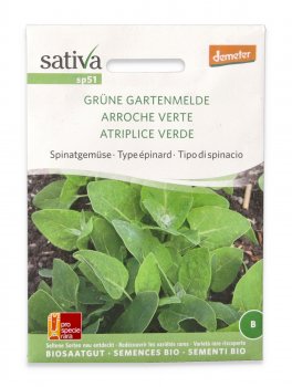 Semi di Spinacio Bio - Atriplice Verde - 1