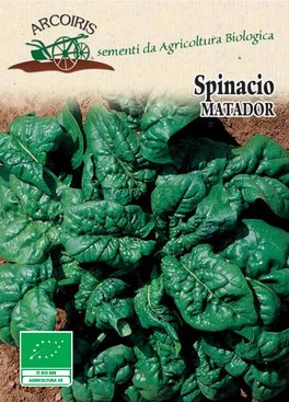 Semi di Spinacio Matador Bio - 1
