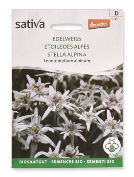 Semi di Stella Alpina - Leontopodium Alpinum - 1