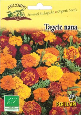 Semi di Tagete Nana - Fio08 - 1