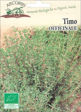 Semi di Timo Officinale - Bu100 - 1