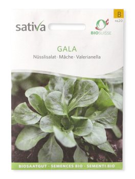 Semi di Valerianella Gala - 1