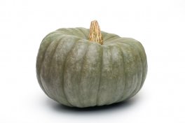 Semi di Zucca Beretta Piacentina Bio - 1