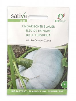 Semi di Zucca Bio - Blu d'Ungheria - 1