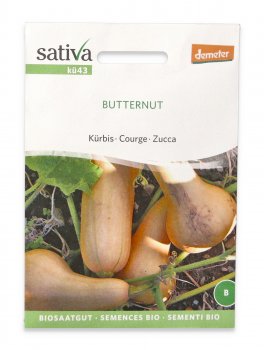 Semi di Zucca Bio - Butternut - 1