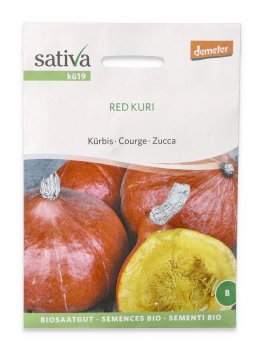 Semi di Zucca Bio - Red Kuri - 1