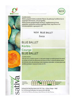 Semi di Zucca - Blue Ballet - 2