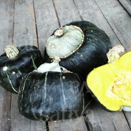 Semi di Zucca - Buttercup - 3