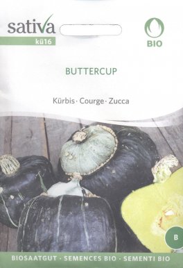 Semi di Zucca - Buttercup - 1