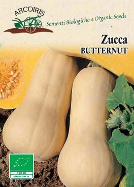 Semi di Zucca Butternut Bio - 2
