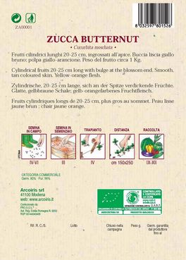 Semi di Zucca Butternut Bio - 3