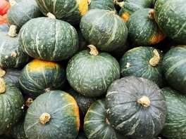 Semi di Zucca Green Hokkaido Bio - 2