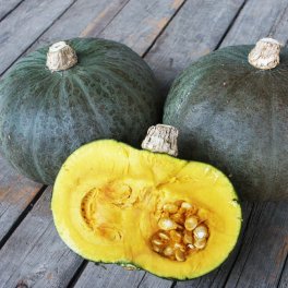 Semi di Zucca - Green Hookaido - 2