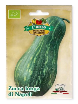 Semi di Zucca Lunga di Napoli Bio - 2