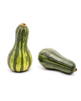 Semi di Zucca Lunga di Napoli Bio - 1