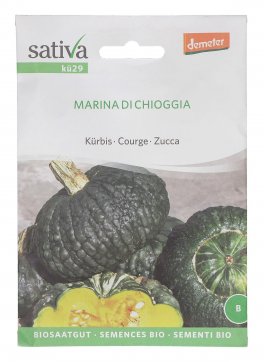 Semi di Zucca - Marina di Chioggia - 1