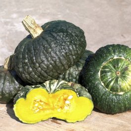 Semi di Zucca - Marina di Chioggia - 2
