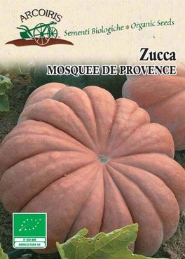 Semi di Zucca Moscata di Provenza - 4 gr - BU058