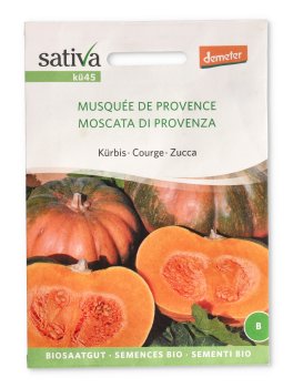Semi di Zucca Moscata di Provenza - 1