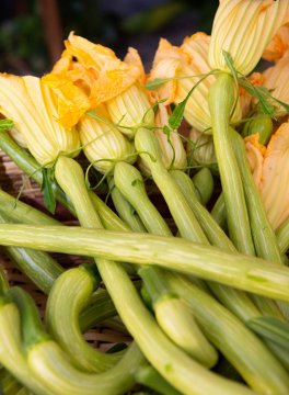 Semi di Zucca Trombetta d'Albenga Bio - 3