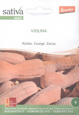 Semi di Zucca - Violina - 1
