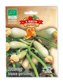 Semi di Zucchina Bianca di Goriziana - 2